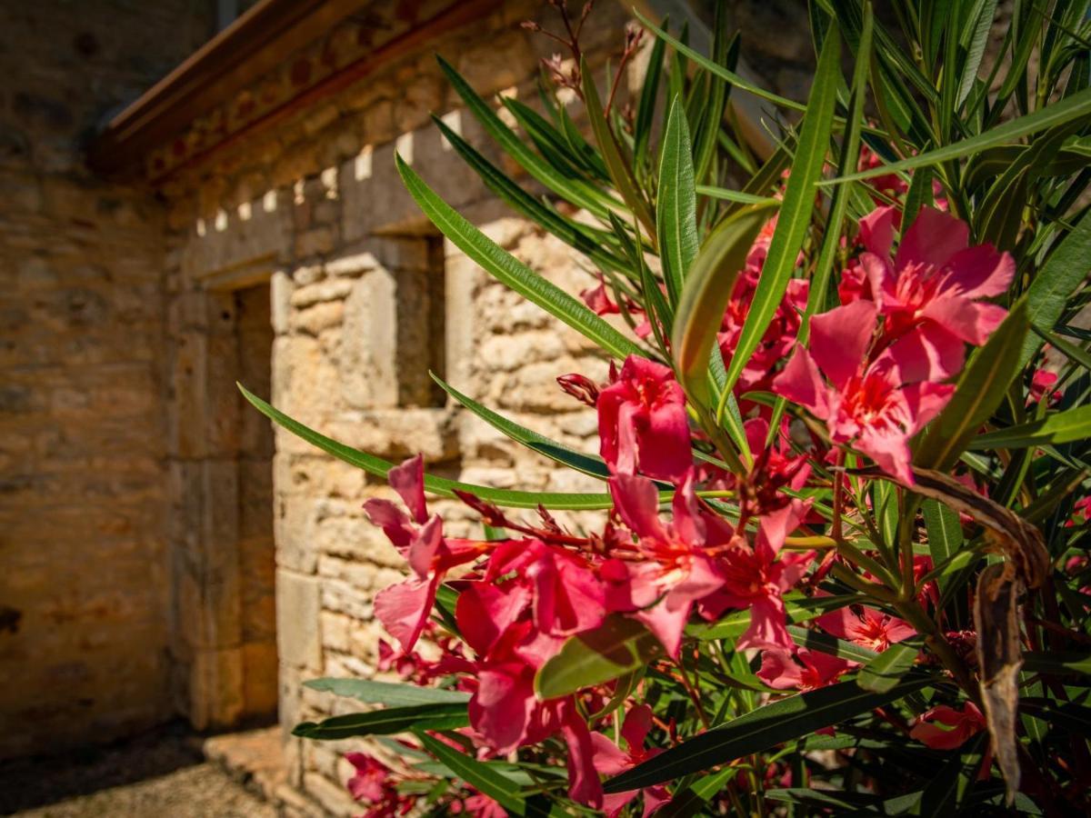 Gite Girou Haut Montcabrier  Exterior photo